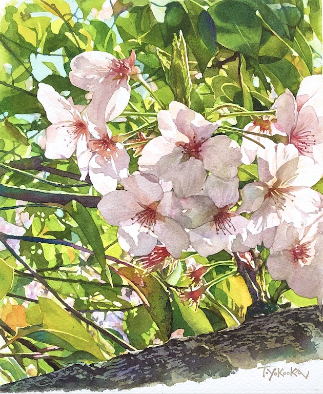 作品3/花.動物.人物.静物 :: yokotaku24315