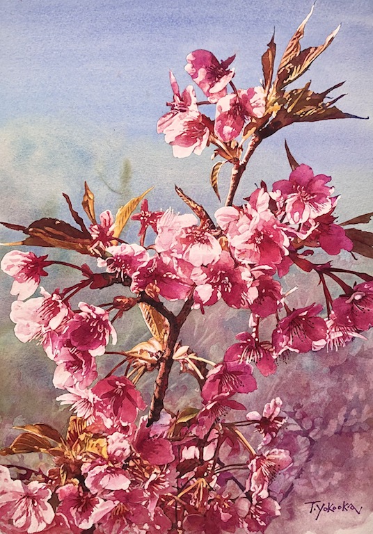 作品3/花.動物.人物.静物 :: yokotaku24315