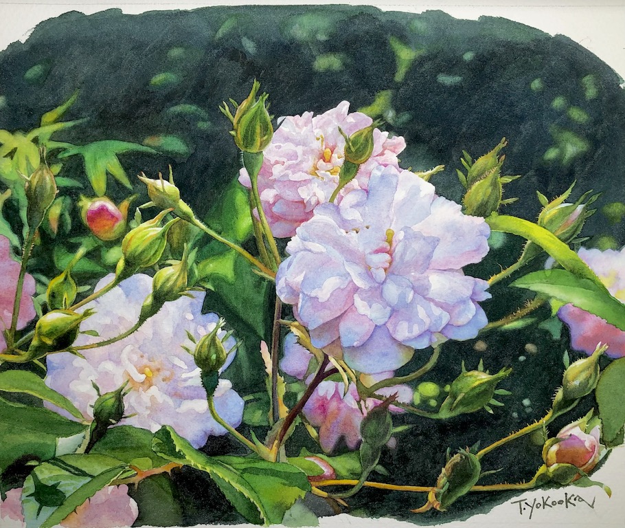 作品3/花.動物.人物.静物 :: yokotaku24315